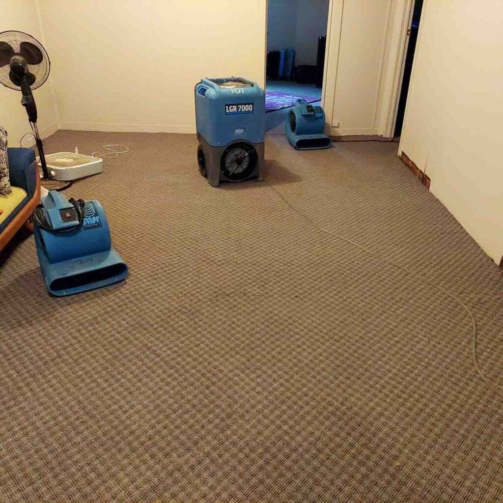 Upholstery Cleaning Colorado Springs