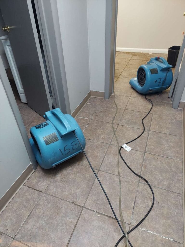 Emergency Carpet Cleaning