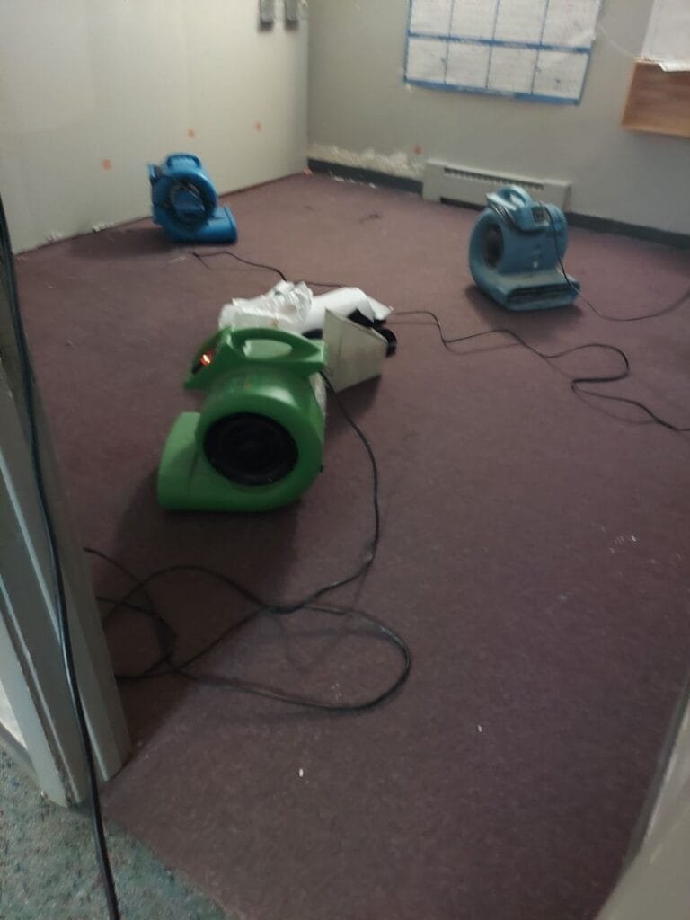 Carpet & Rug Cleaning Castle Rock