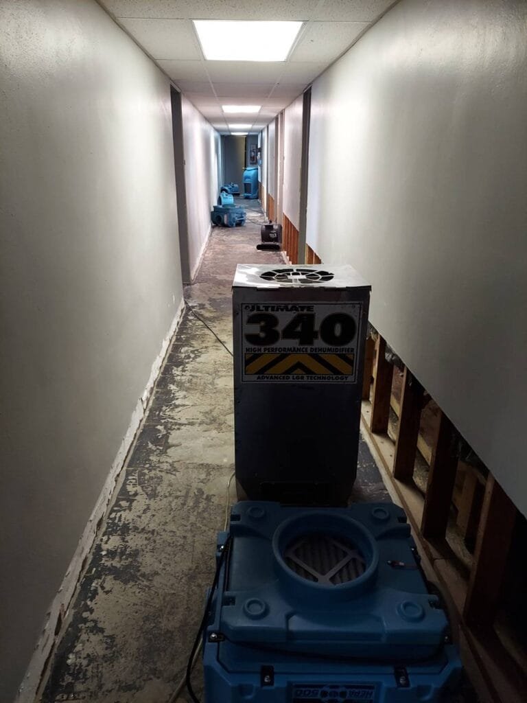 Carpet Cleaning & Water Restoration | Woodland Park, CO